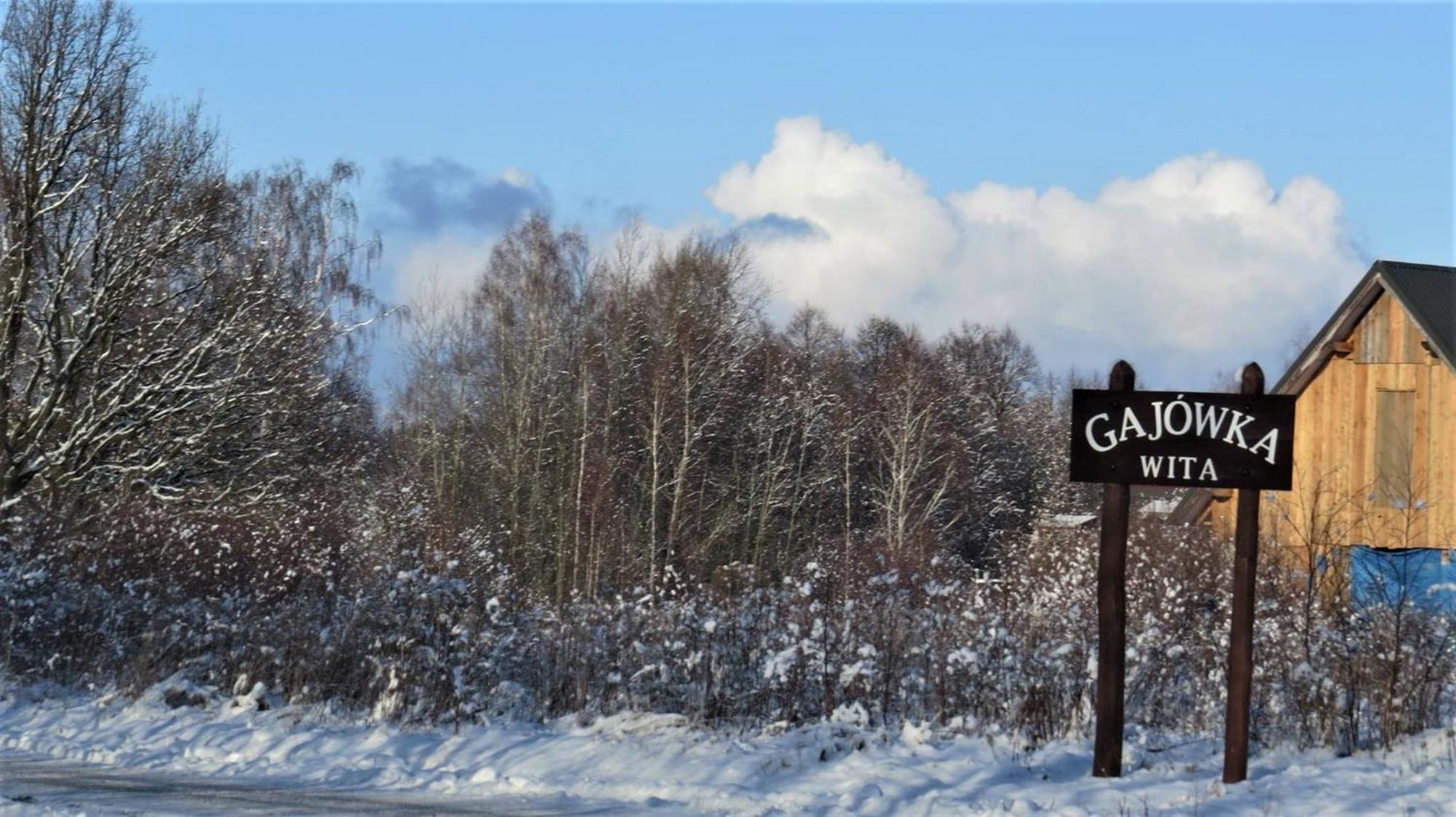 Maja Pokoje Z Widokiem Kameralna Agroturystyka Na Pogorzu Izerskim Z Sauna I Jacuzzi (Adults Only) Mirsk Buitenkant foto