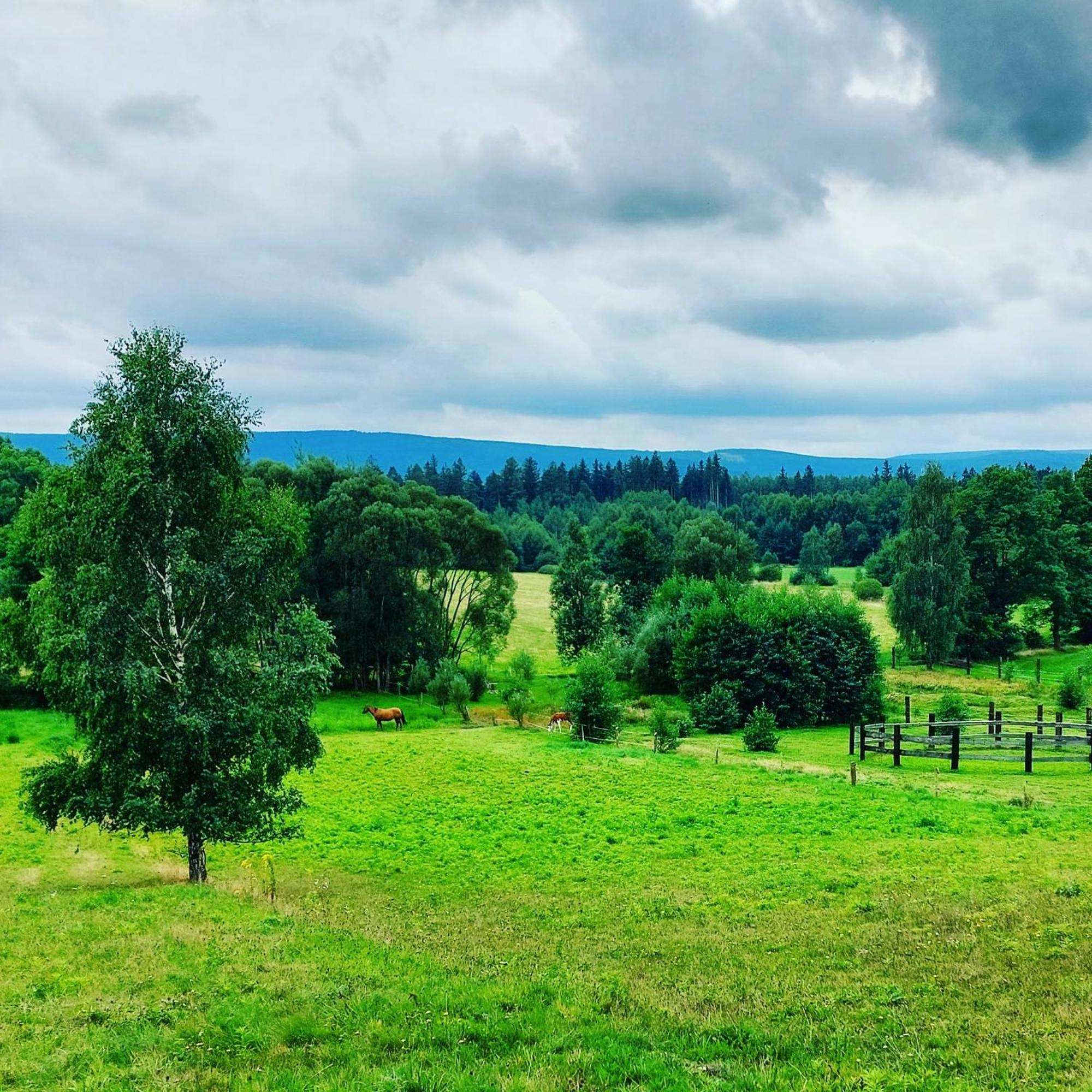 Maja Pokoje Z Widokiem Kameralna Agroturystyka Na Pogorzu Izerskim Z Sauna I Jacuzzi (Adults Only) Mirsk Buitenkant foto