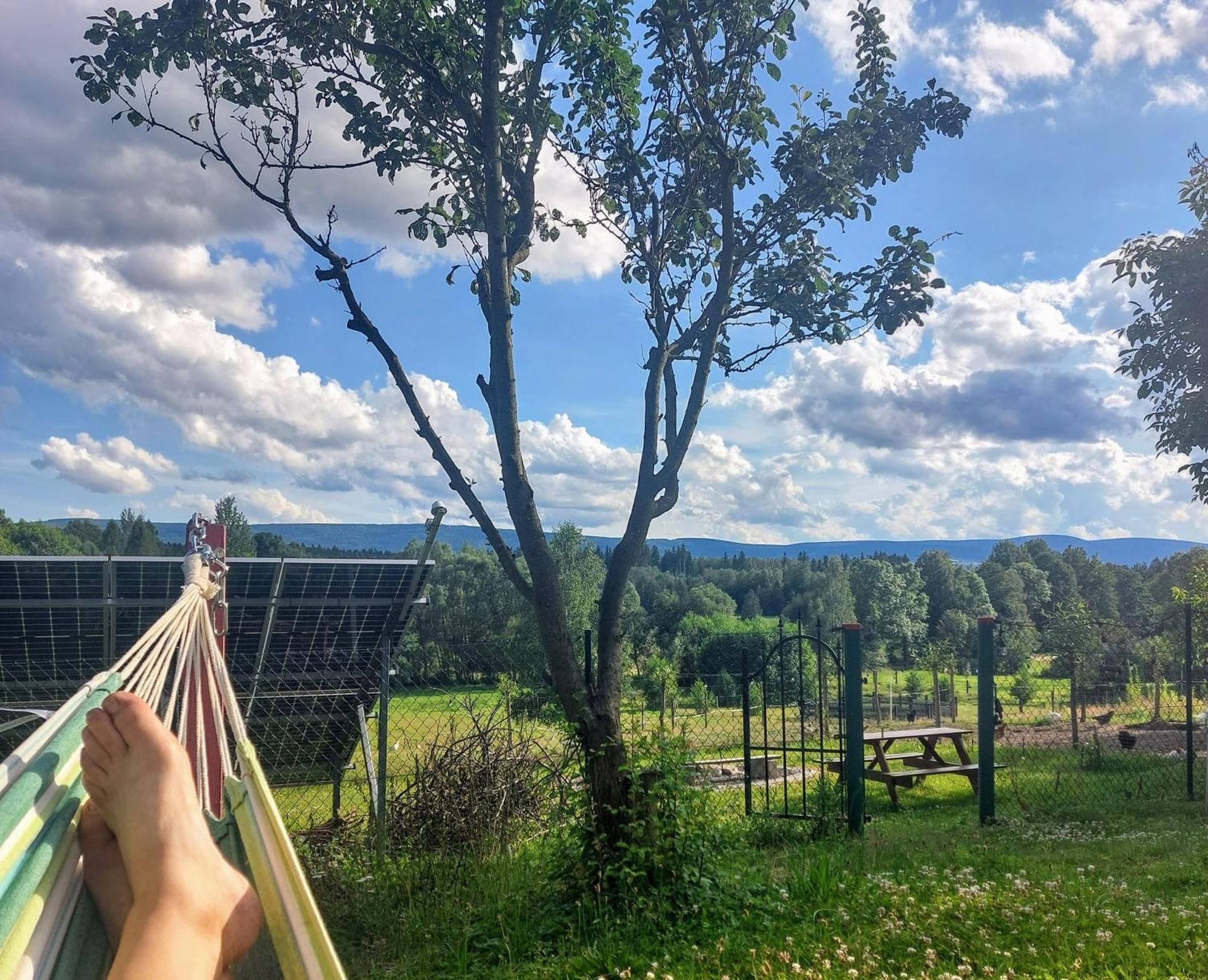 Maja Pokoje Z Widokiem Kameralna Agroturystyka Na Pogorzu Izerskim Z Sauna I Jacuzzi (Adults Only) Mirsk Buitenkant foto